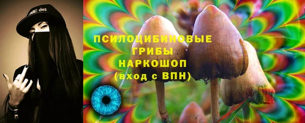 мяу мяу мука Алексин